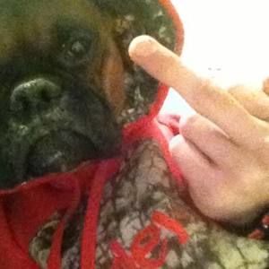 Meet your Posher, Cane